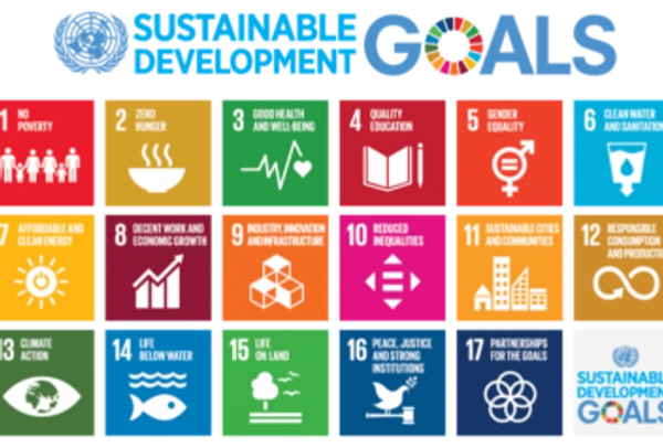 United Nations Sustainable Development Goals Outline